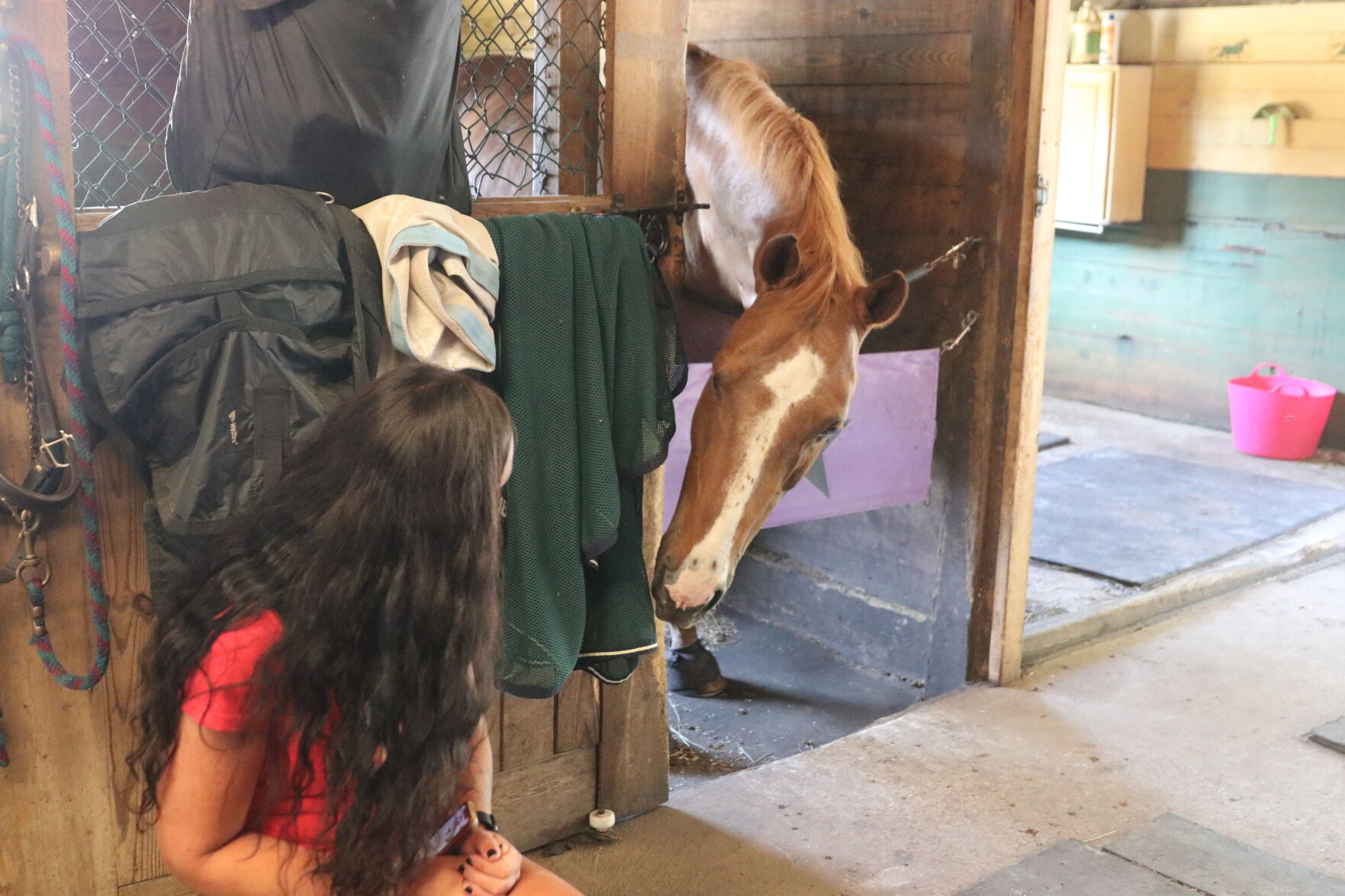 071921-pac-nws-horses